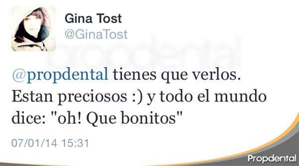 twitter gina tost