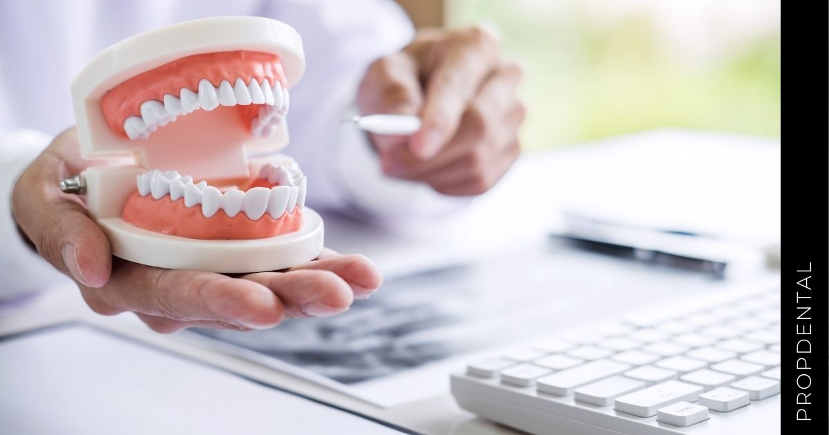 La adherencia bacteriana a nuestra dentición